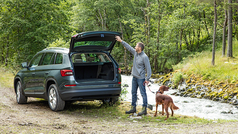 Illustration for article titled Strapping Seven-Seat Skoda Shares Platform With Small-Sized VW Golf